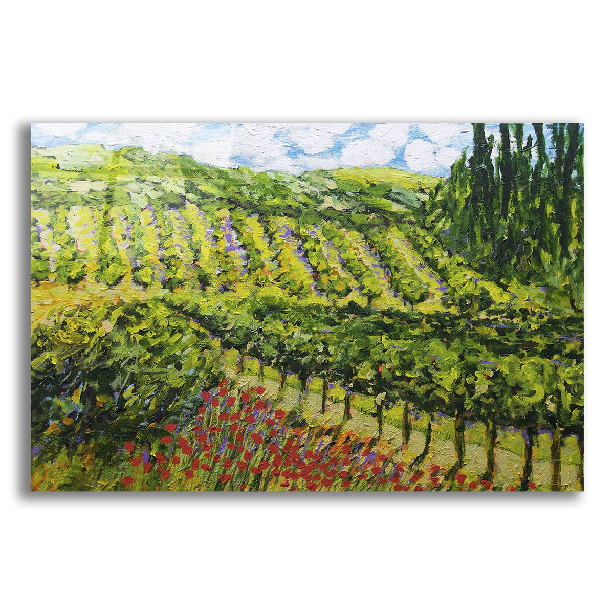 Mountain Vineyard by Allan Friedlander acrylic glass wall art