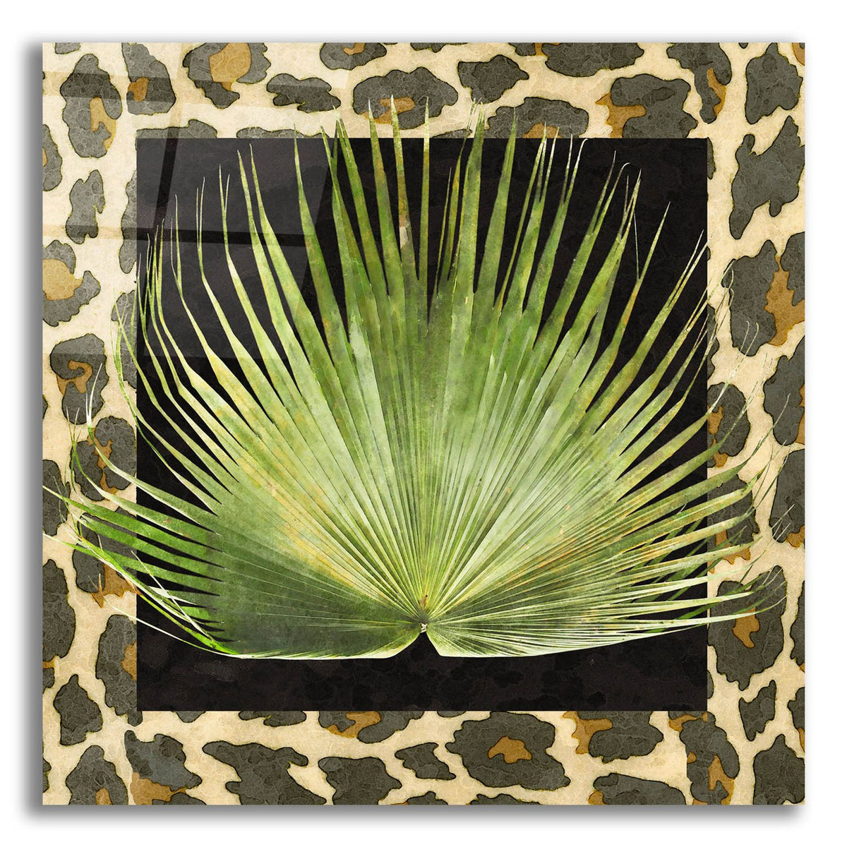 Tropic Collection 3 by Alonzo Saunders acrylic glass wall art