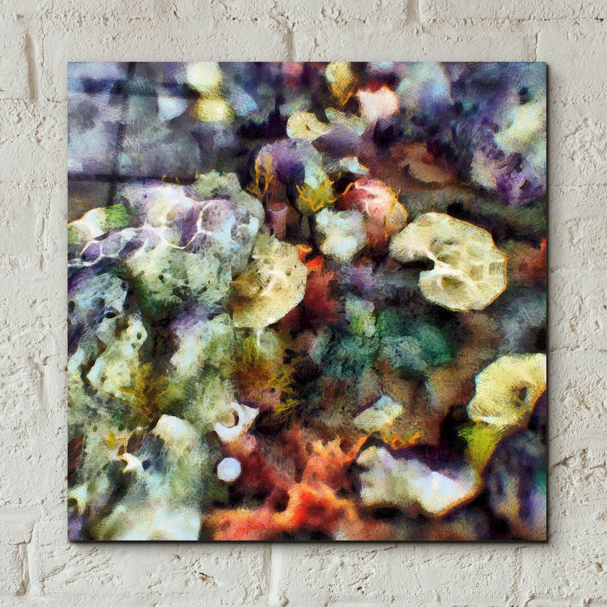 Sea Life 2 by Alonzo Saunders - 12x12 acrylic wall art in a room