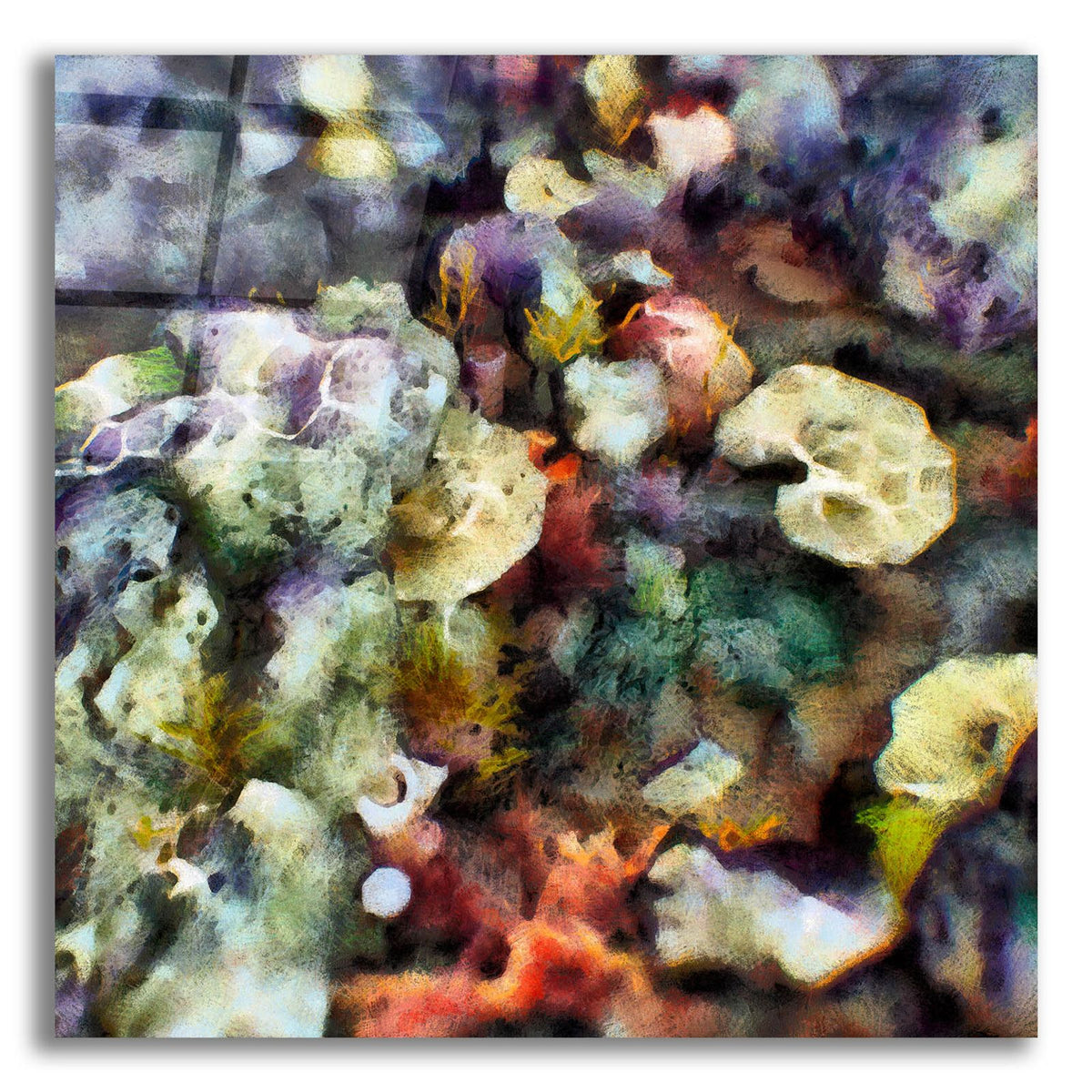 Sea Life 2 by Alonzo Saunders acrylic glass wall art