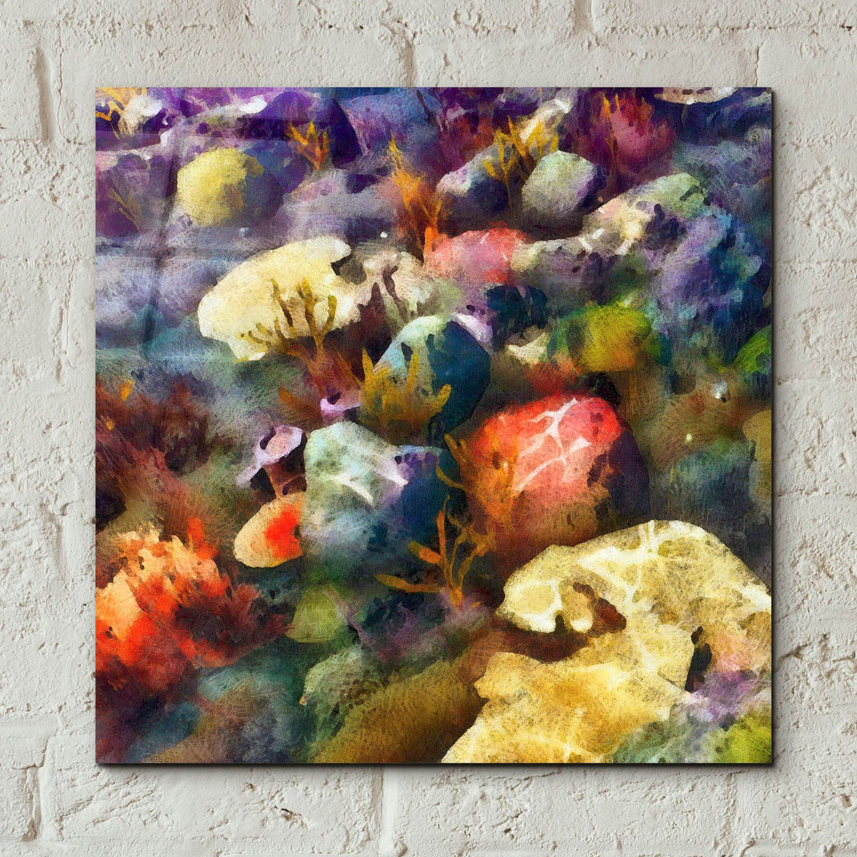 Sea Life 3 by Alonzo Saunders - 12x12 acrylic wall art in a room