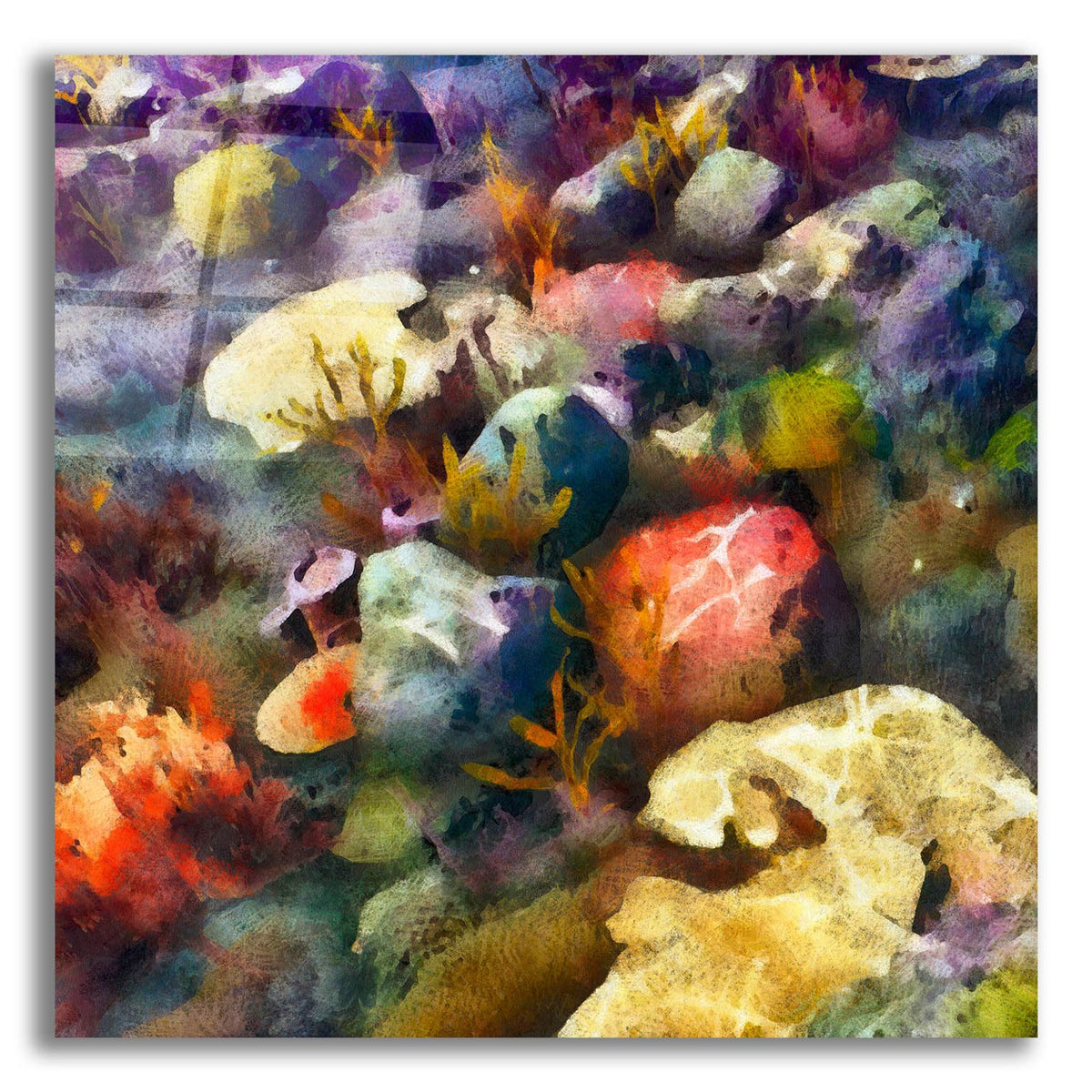 Sea Life 3 by Alonzo Saunders acrylic glass wall art