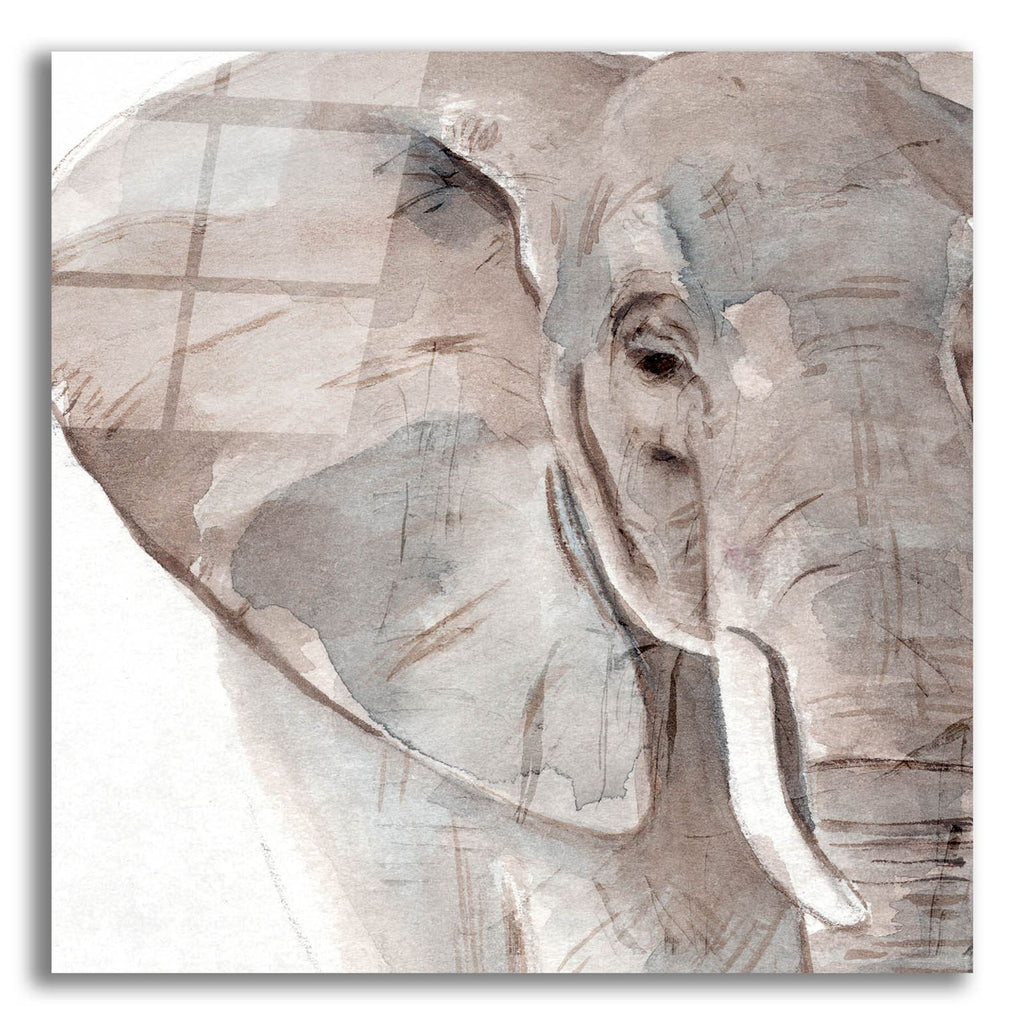 Elephant Grooves 2 by Annie Warren acrylic glass wall art