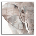 Elephant Grooves 2 by Annie Warren acrylic glass wall art
