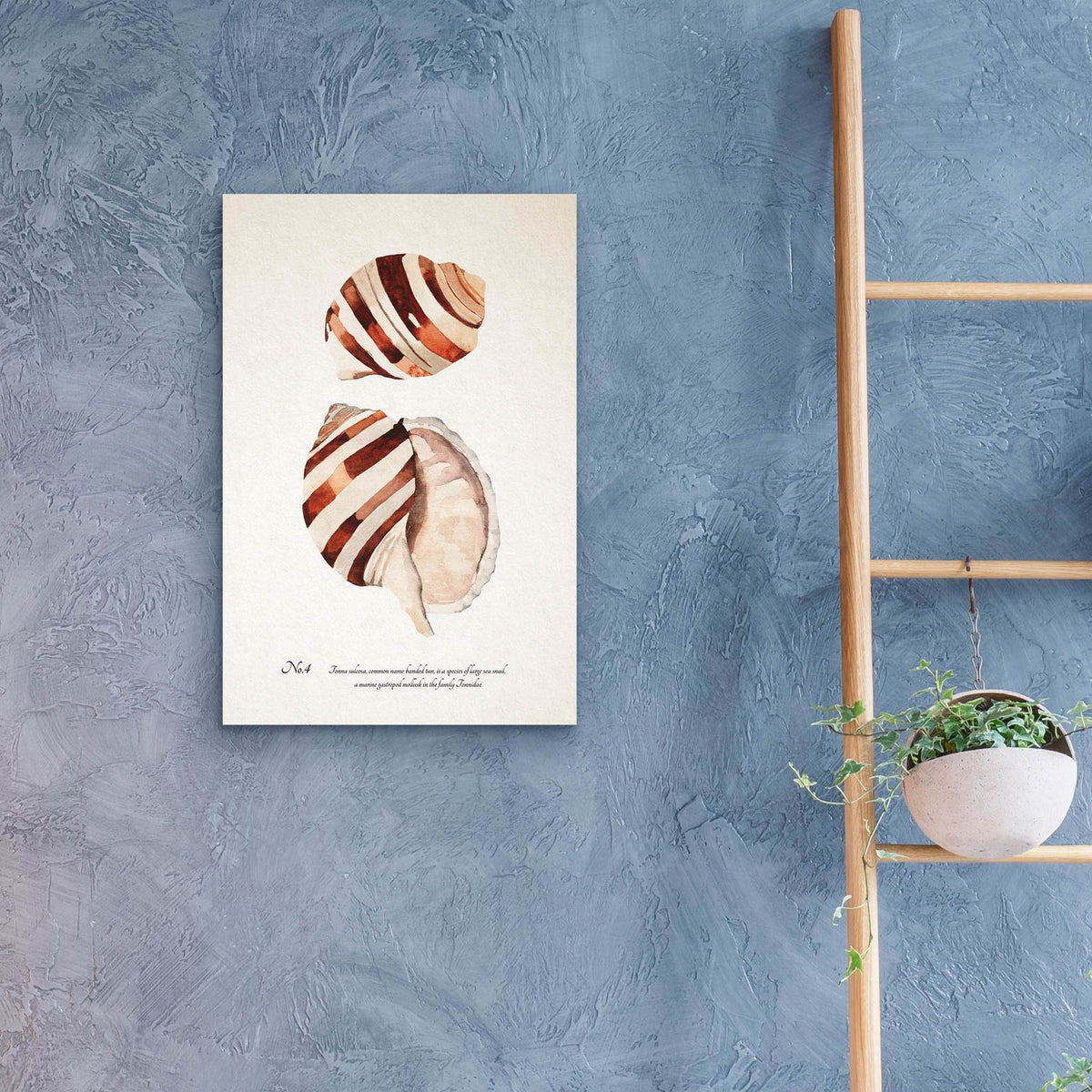 Sienna Shell Collector 4 by Annie Warren - 16x24 acrylic wall art in a room