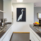 Calm Great Egret 2 by Annie Warren - 24x36 acrylic wall art in a room