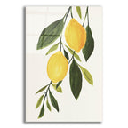 Lemon Branch 1 by Annie Warren acrylic glass wall art