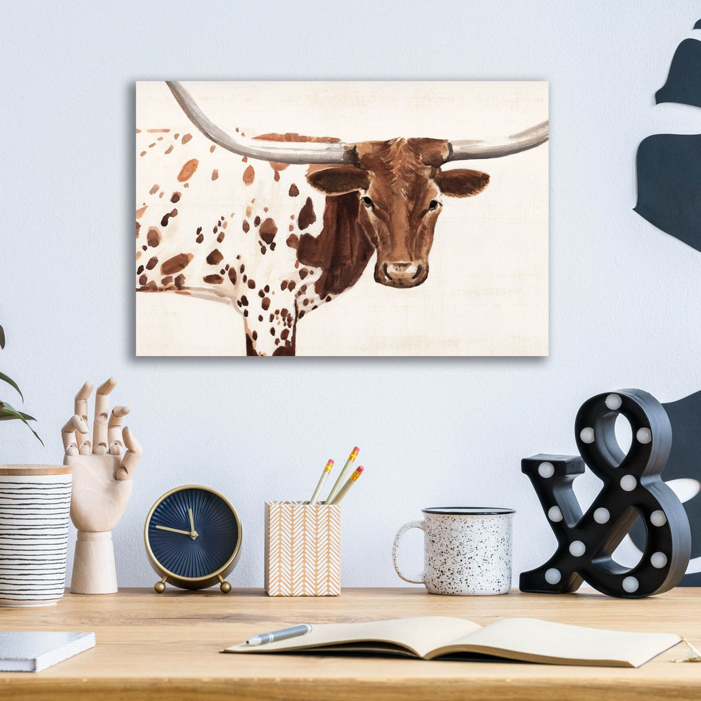 Spotted Steer 1 by Annie Warren - 16x12 acrylic wall art in a room