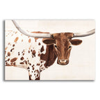 Spotted Steer 1 by Annie Warren acrylic glass wall art