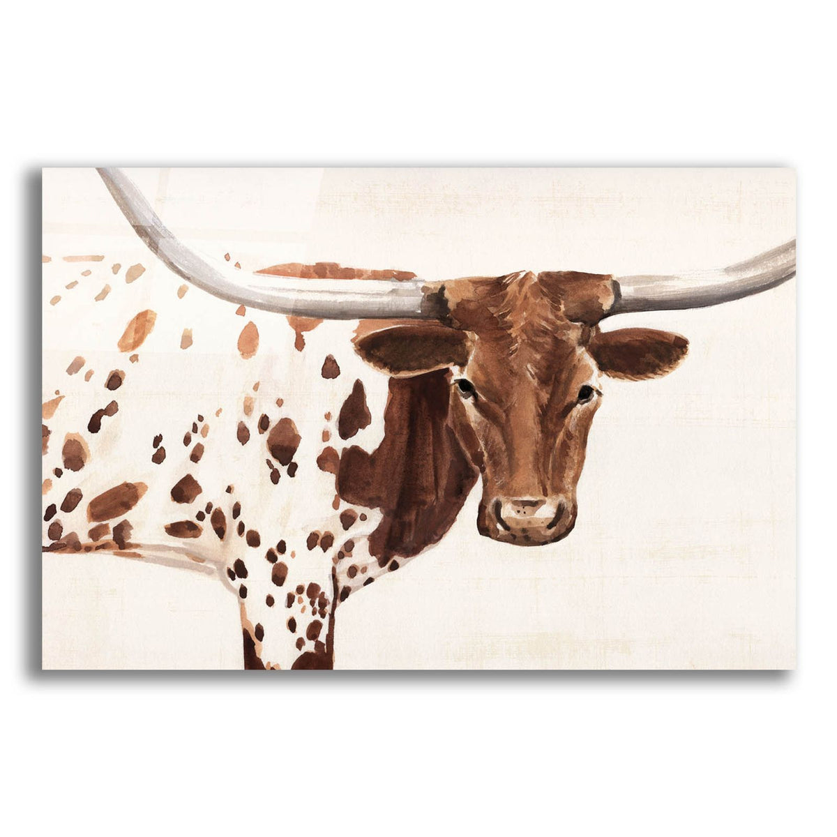 Spotted Steer 1 by Annie Warren acrylic glass wall art