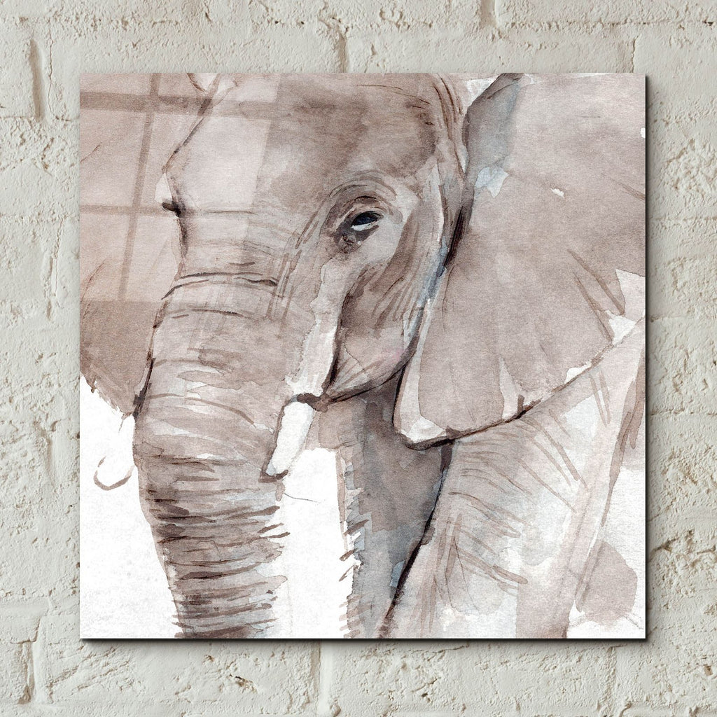 Elephant Grooves 1 by Annie Warren - 12x12 acrylic wall art in a room