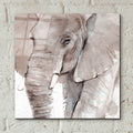 Elephant Grooves 1 by Annie Warren - 12x12 acrylic wall art in a room