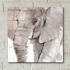 Elephant Grooves 1 by Annie Warren - 12x12 acrylic wall art in a room