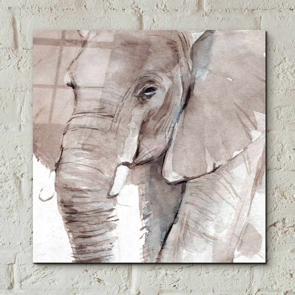 Elephant Grooves 1 by Annie Warren - 12x12 acrylic wall art in a room