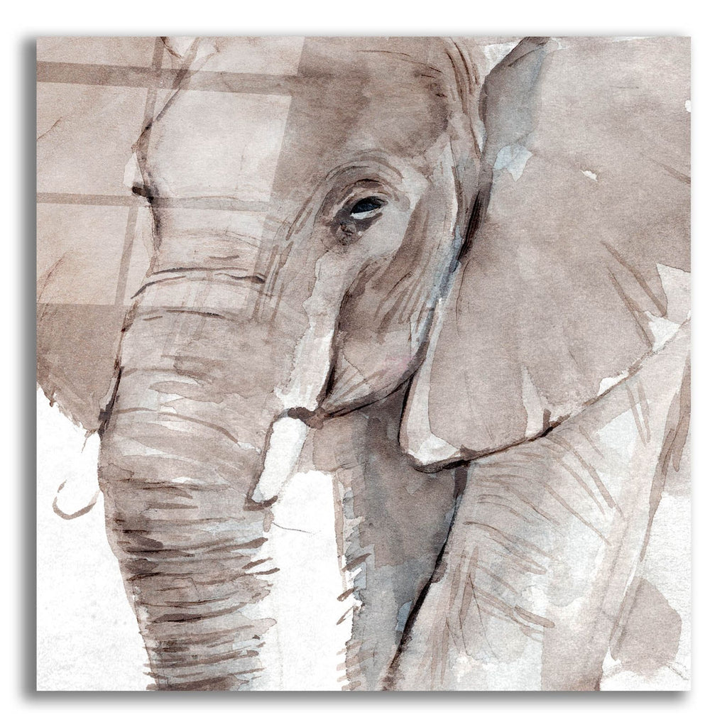 Elephant Grooves 1 by Annie Warren acrylic glass wall art