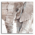 Elephant Grooves 1 by Annie Warren acrylic glass wall art