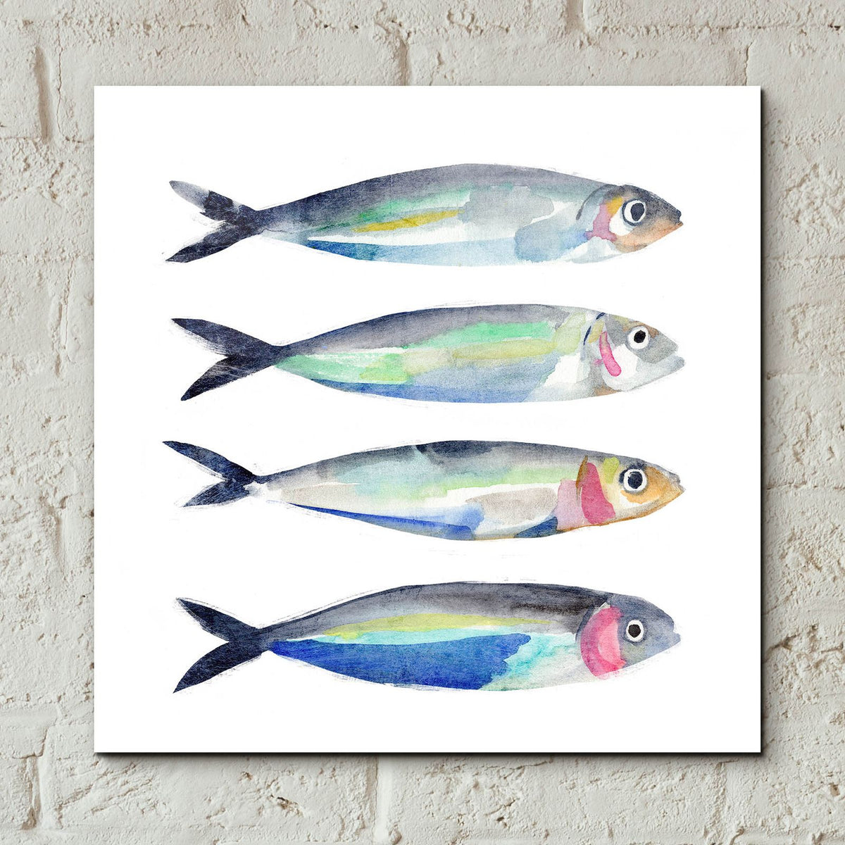 Sardine Team 2 by Annie Warren - 12x12 acrylic wall art in a room