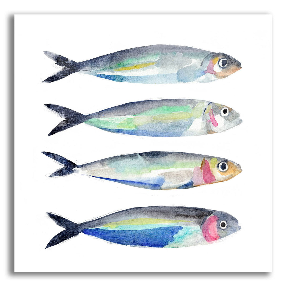 Sardine Team 2 by Annie Warren acrylic glass wall art