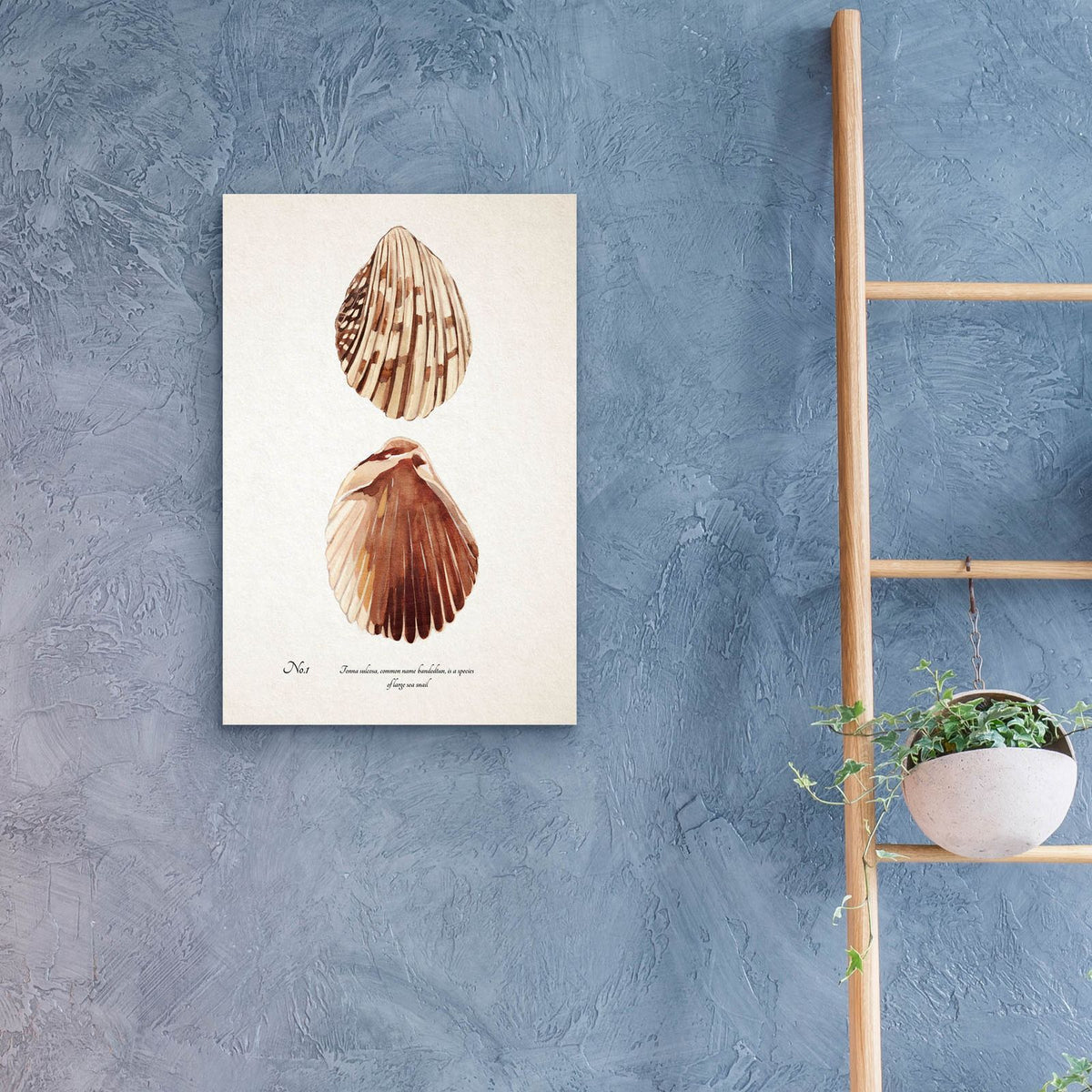 Sienna Shell Collector 1 by Annie Warren - 16x24 acrylic wall art in a room