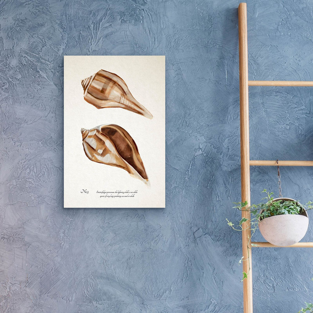 Sienna Shell Collector 3 by Annie Warren - 16x24 acrylic wall art in a room