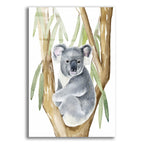 Woodland Koala 1 by Annie Warren acrylic glass wall art