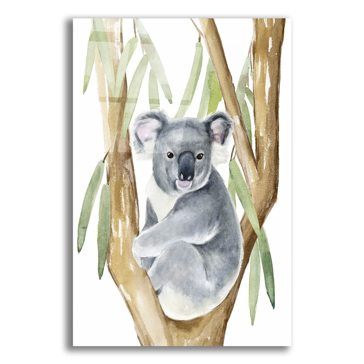 Woodland Koala 1 by Annie Warren acrylic glass wall art