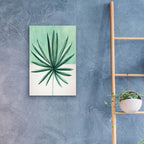 Verging Palm 4 by Annie Warren - 16x24 acrylic wall art in a room