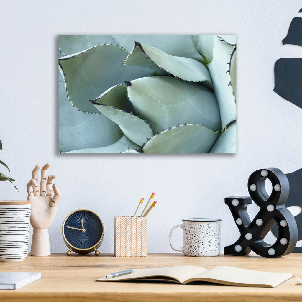 Agave Detail 1 by Brittany Evans - 16x12 acrylic wall art in a room