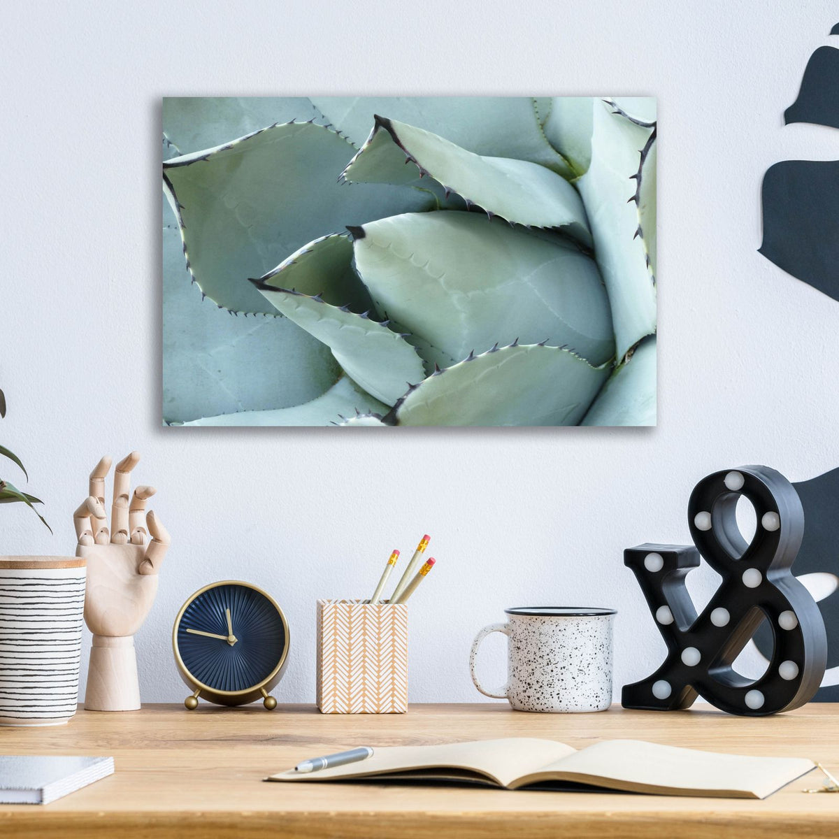 Agave Detail 1 by Brittany Evans - 16x12 acrylic wall art in a room