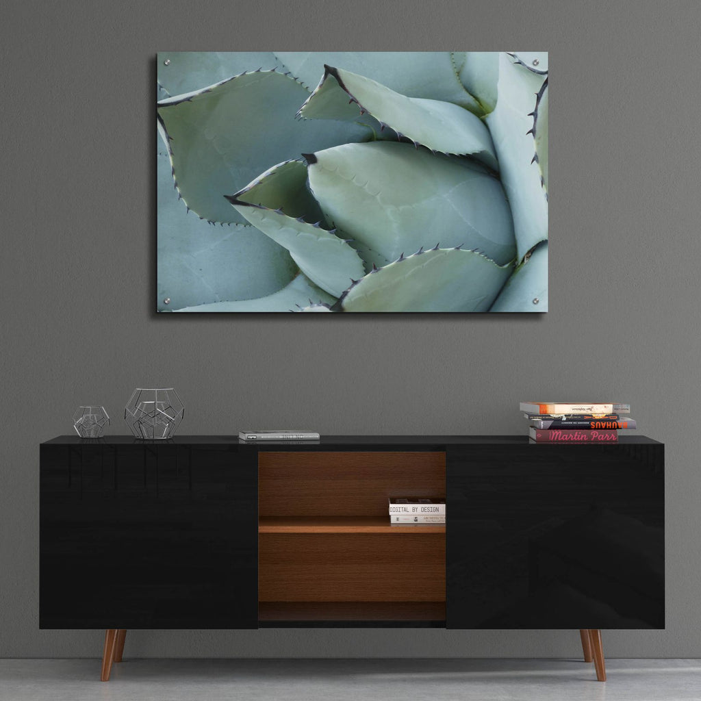 Agave Detail 1 by Brittany Evans - 36x24 acrylic wall art in a room
