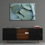 Agave Detail 1 by Brittany Evans - 36x24 acrylic wall art in a room