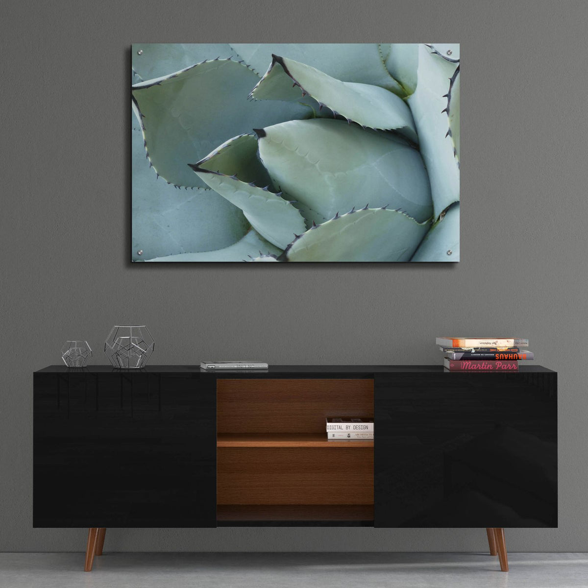 Agave Detail 1 by Brittany Evans - 36x24 acrylic wall art in a room