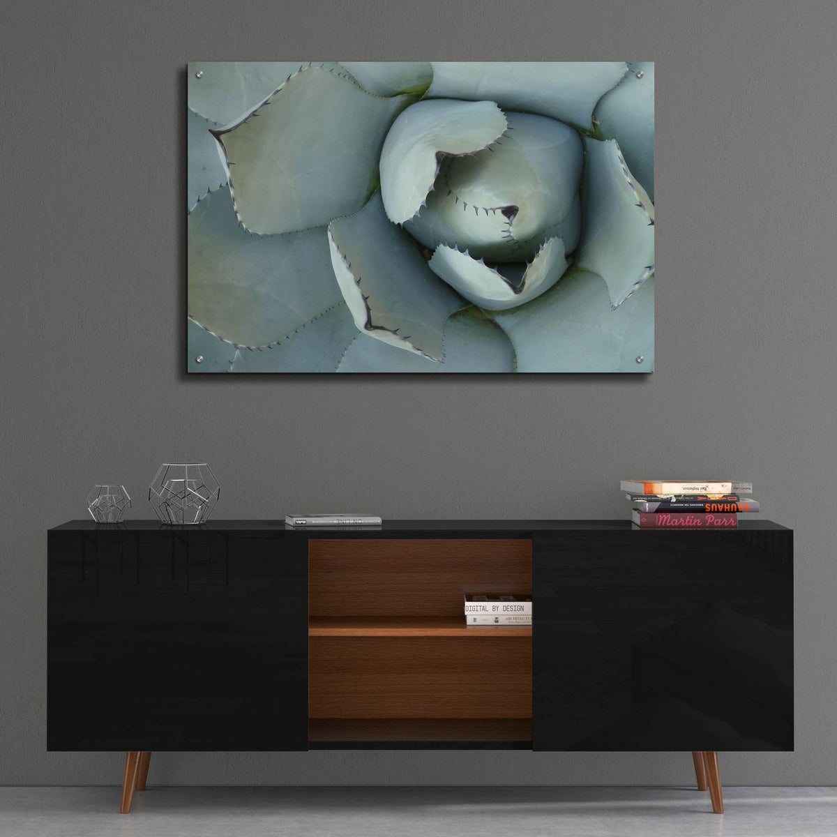 Agave Detail 2 by Brittany Evans - 36x24 acrylic wall art in a room