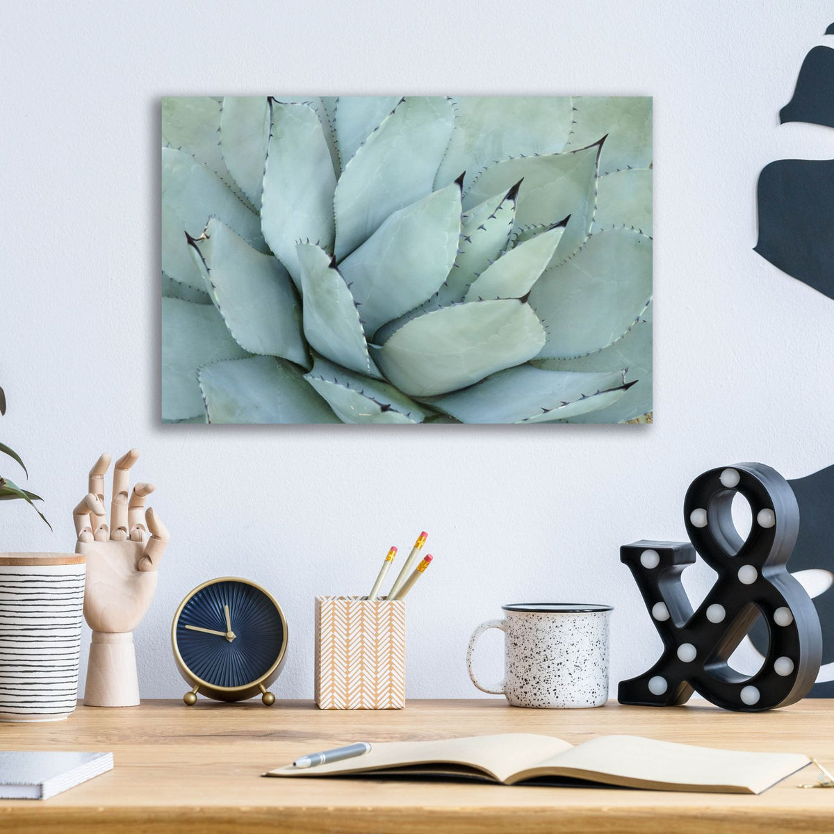 Agave Detail 4 by Brittany Evans - 16x12 acrylic wall art in a room