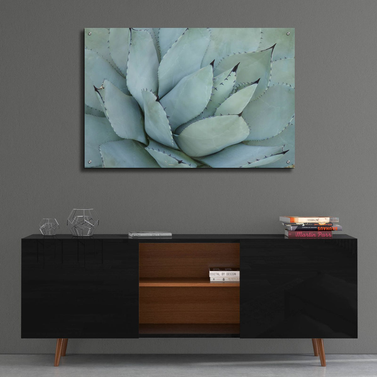 Agave Detail 4 by Brittany Evans - 36x24 acrylic wall art in a room
