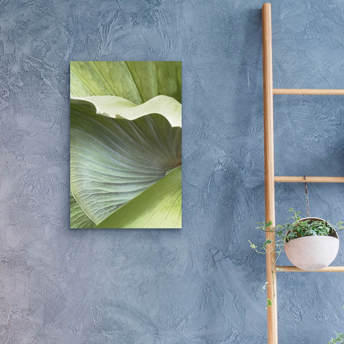 Banana Leaf 1 by Brittany Evans - 16x24 acrylic wall art in a room