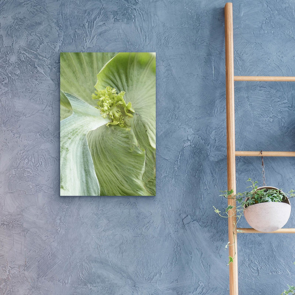 Banana Leaf 2 by Brittany Evans - 16x24 acrylic wall art in a room