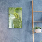 Banana Leaf 2 by Brittany Evans - 16x24 acrylic wall art in a room