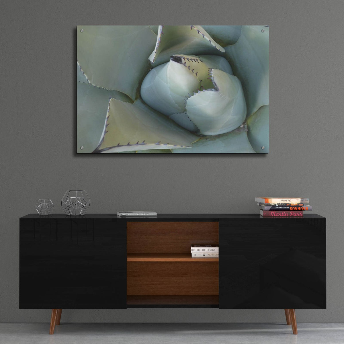 Agave Detail 3 by Brittany Evans - 36x24 acrylic wall art in a room
