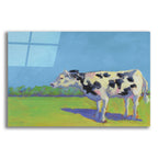 Cow Pals 3 by Carol Young acrylic glass wall art