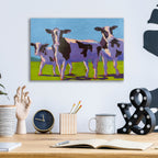 Cow Pals 4 by Carol Young - 16x12 acrylic wall art in a room