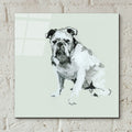 A Very Pastel Modern Dog 6 by Cartissi - 12x12 acrylic wall art in a room