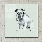 A Very Pastel Modern Dog 6 by Cartissi - 12x12 acrylic wall art in a room