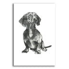 Doggy Expressions 4 by Cartissi acrylic glass wall art
