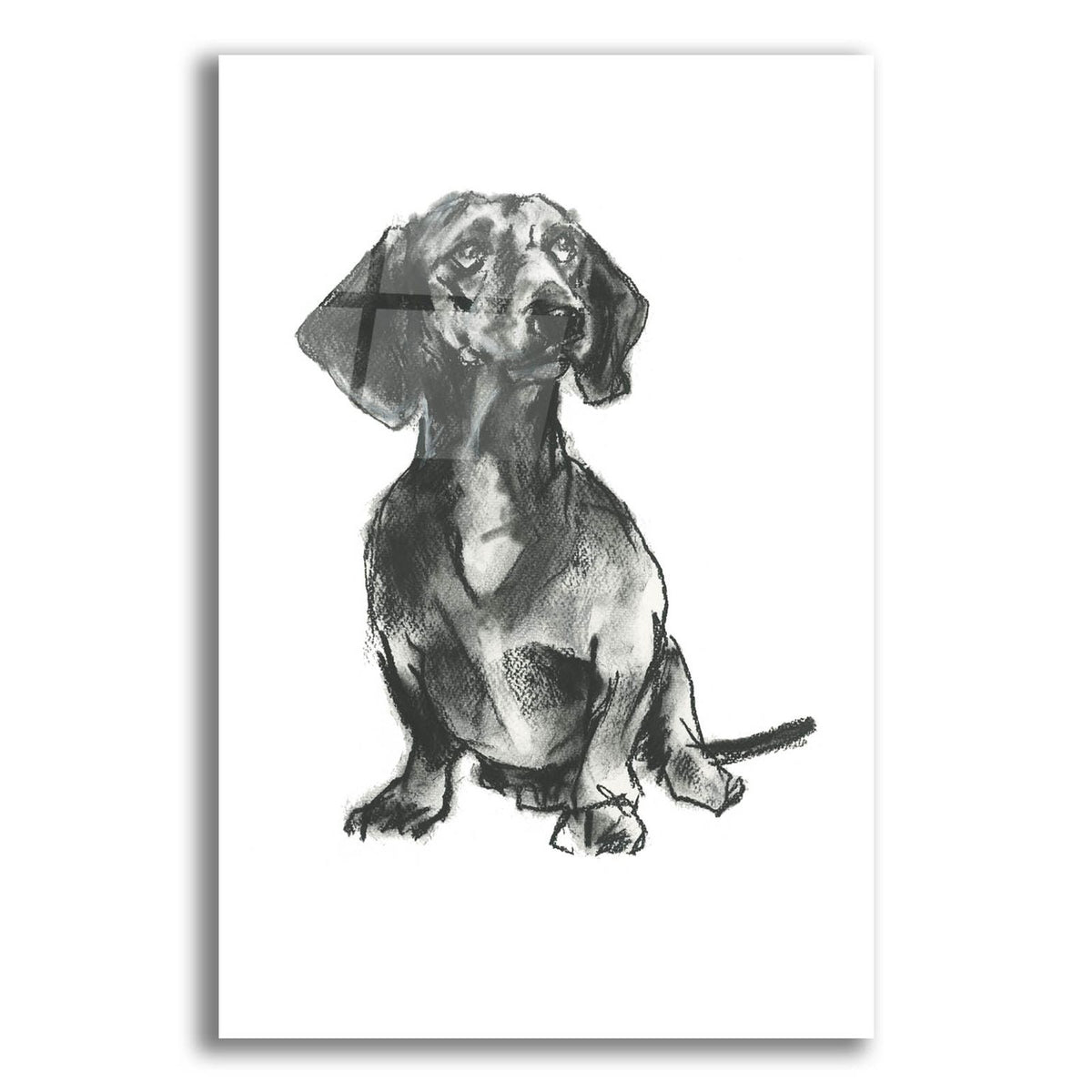 Doggy Expressions 4 by Cartissi acrylic glass wall art