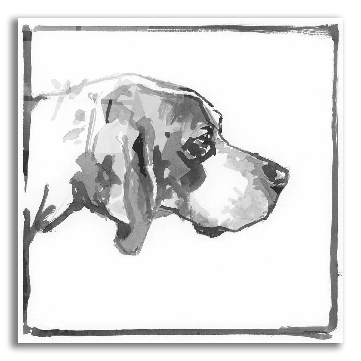Foxhound by Cartissi acrylic glass wall art