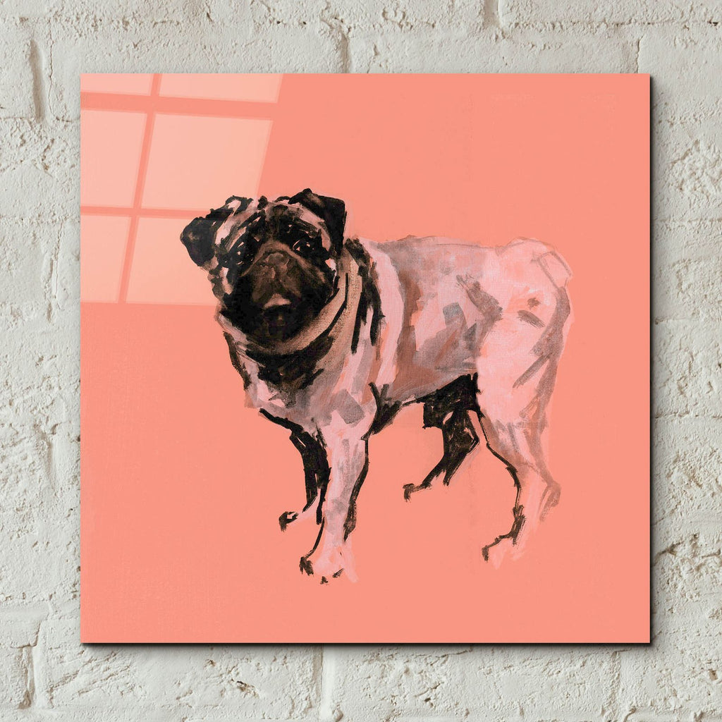 A Very Pop Modern Dog 7 by Cartissi - 12x12 acrylic wall art in a room