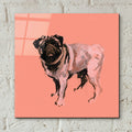 A Very Pop Modern Dog 7 by Cartissi - 12x12 acrylic wall art in a room