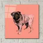 A Very Pop Modern Dog 7 by Cartissi - 12x12 acrylic wall art in a room