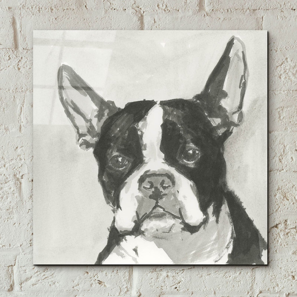 A Very Neutral Modern Dog 10 by Cartissi - 12x12 acrylic wall art in a room